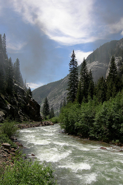 Animas River