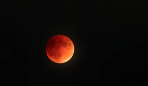 Lunar Eclipse - September 2015