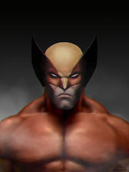 Wolverine -  v01
