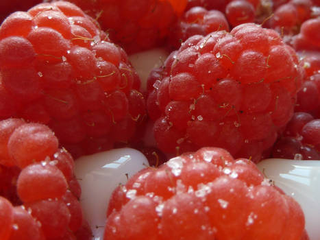 Raspberry I