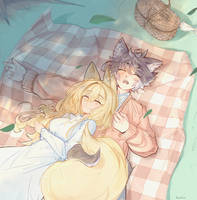 Picnic Nap