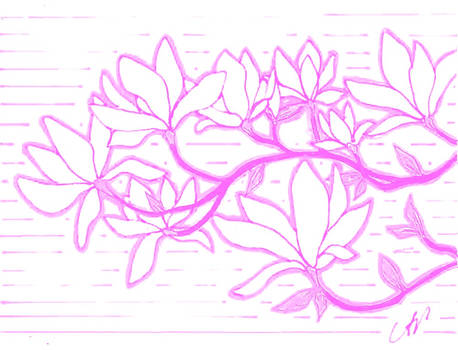 magnolias- color edit