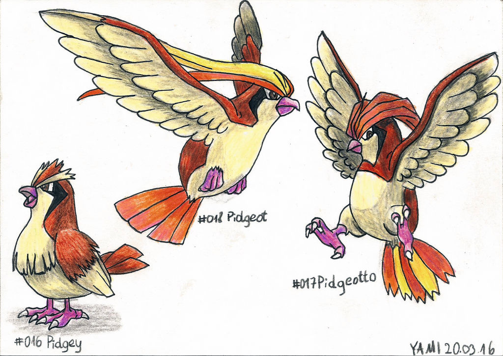 Pidgey Evolution Chart Pidgey Evolution POP GAMES POKEMON S8 PIDGEOTTO VIN FIG Cape