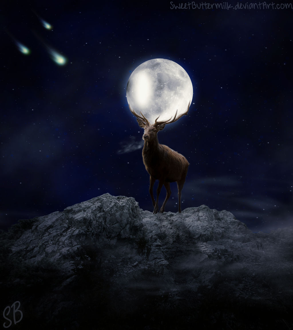 Moon Bringer by SweetButtermilk