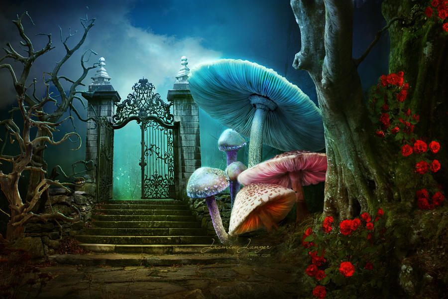 Wonderland Deviantart Wonderland by kuschelirmel on DeviantArt