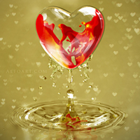 Valentine by kuschelirmel Valentine by kuschelirmel