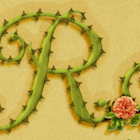 Photoshop-rose-text-1 by kuschelirmel Photoshop-rose-text-1 by kuschelirmel