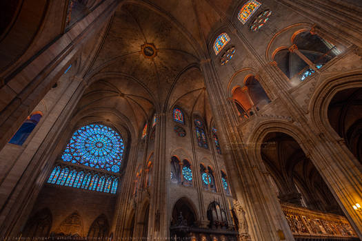 Notre Dame 03