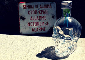 Crystal Skull Vodka