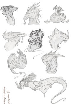 Dragon sketches