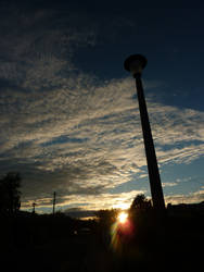 Silhouetted Sunset