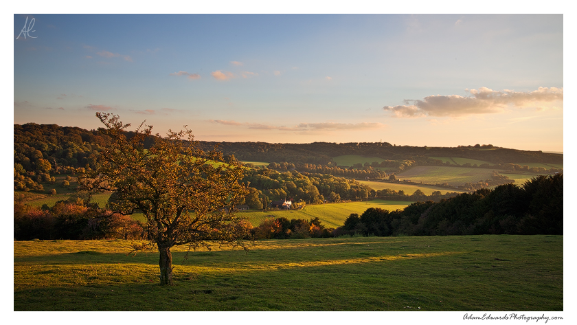 Chiltern Glow