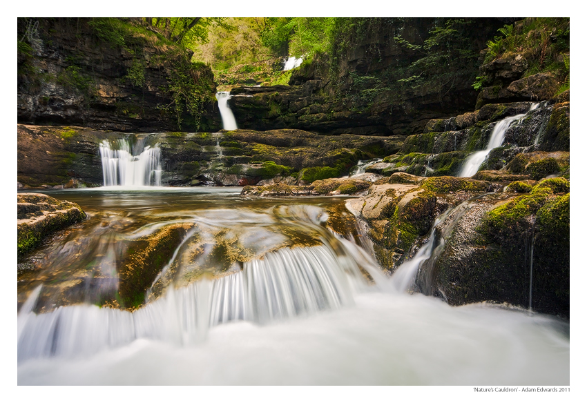 Nature's Cauldron