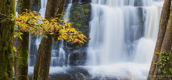 Waterfall Country: Autumn