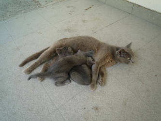 Mother and children.