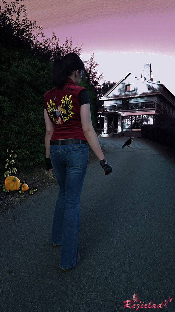 Claire Redfield (Resident Evil) Costume for Cosplay & Halloween