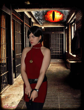 Ada Wong - Evil is Watching