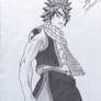 Fairy tail   Natsu