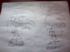 Streetpunk the Hedgehog (Sonic X style)