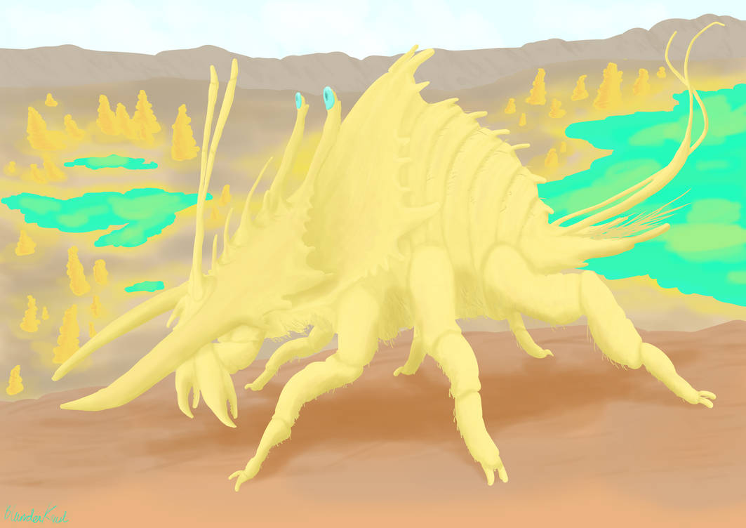 Chroach Chrysantheium Croach by Blunderkrust on DeviantArt