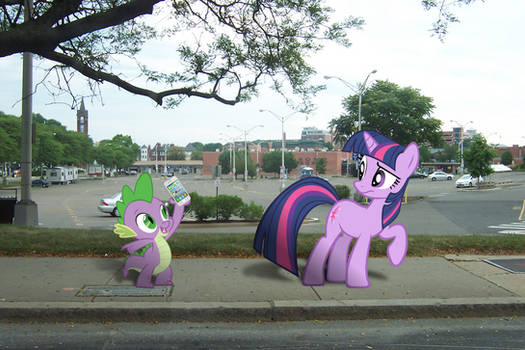 Twilight Sparkle and Spike, Library Hunting