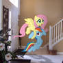 Rainbow and Fluttershy on Vacation