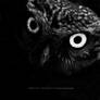 : Owl :