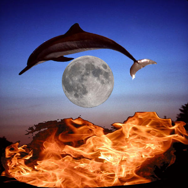 Dolphin over fire by Shimerao-Alkardi on DeviantArt