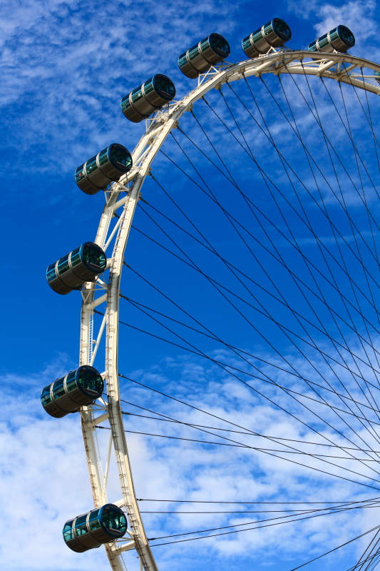 Singapore Flyer 4