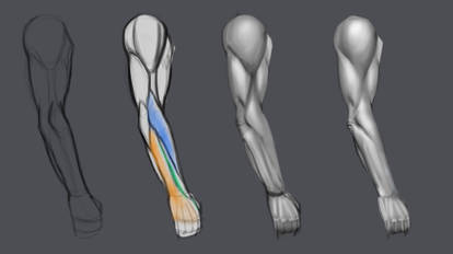 Explore the Best Arm Art | DeviantArt