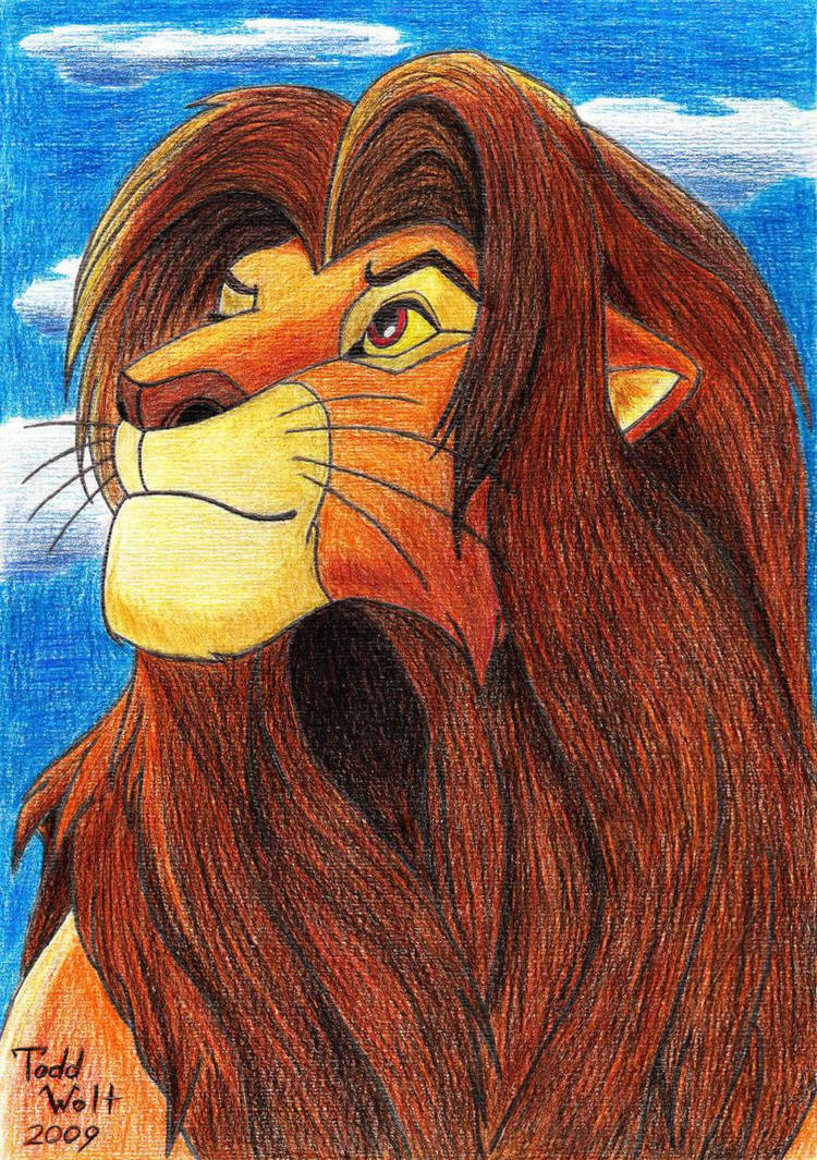 Simba by AnsticeWolf on DeviantArt