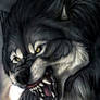 Werewolf speedpaint portrait