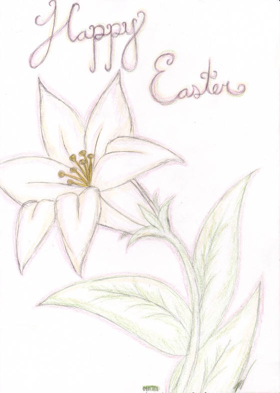 Easter Lily