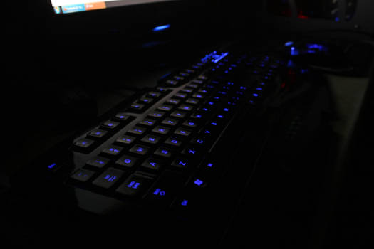 PWN in the dark 1