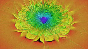 fractal Flower flame Jwildfire color height relief