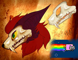 Skull + brain (mod)christina