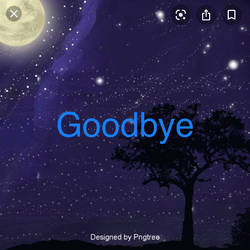 Goodbye 