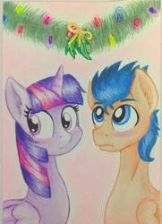 Twilight Sparkle and Flash  Sentry