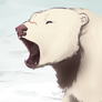 Snarly Noises