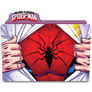 Peter Paker : The Spectacular Spider-Man