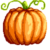 Pumpkin Doodle