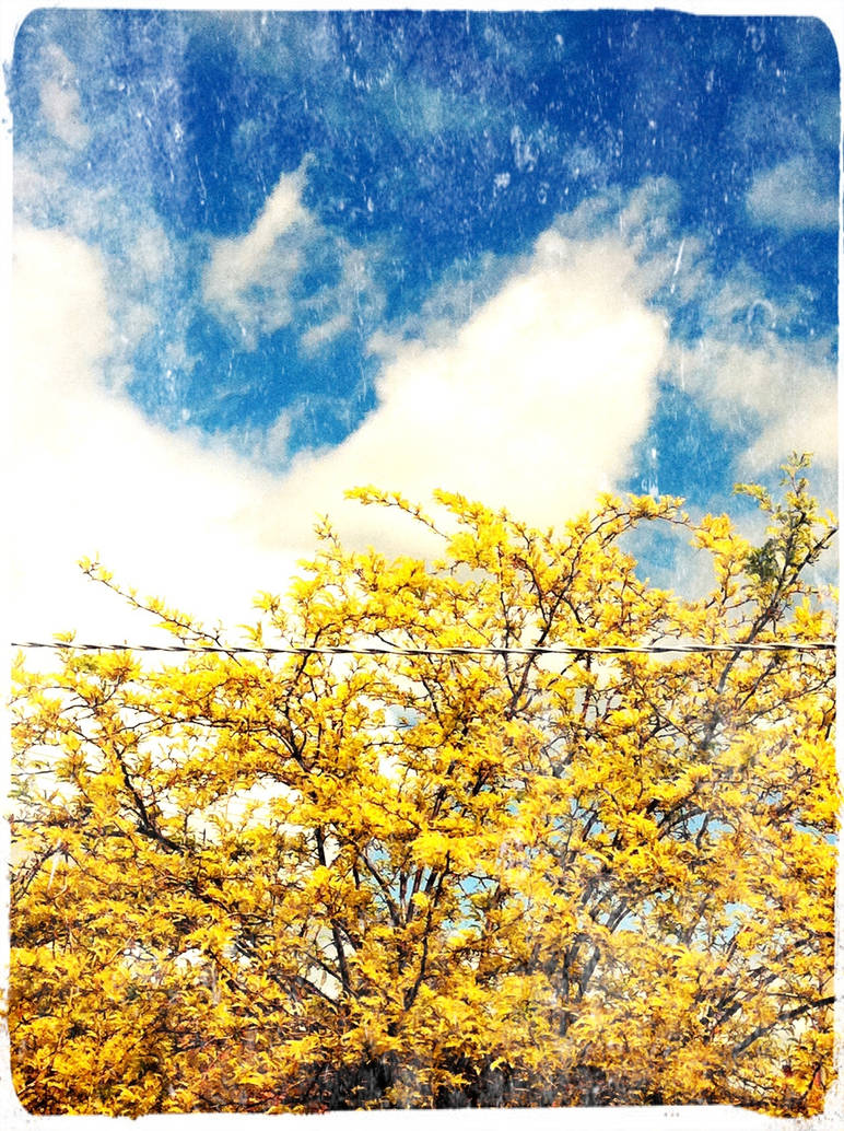 Springtime by AaronD7 on DeviantArt