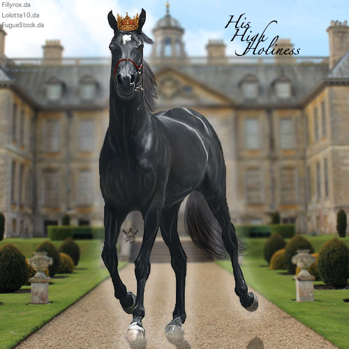 HEE Horse Avatar. - His High Holiness