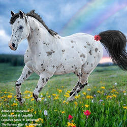 HEE Horse Avatar - Rainbow