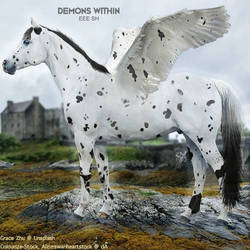 HEE Horse Avatar - Demons Within