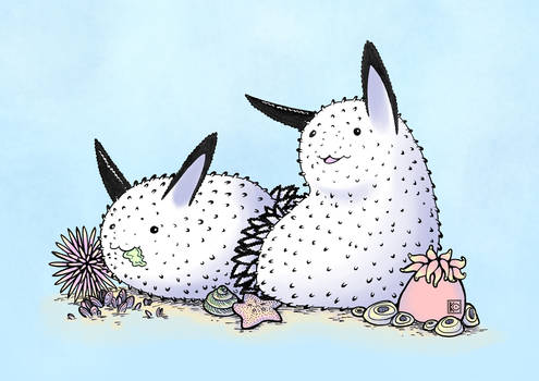 Sea Bunny Slugs