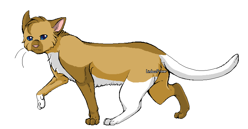 Rushstem of ShadowClan