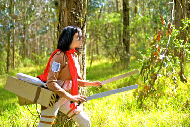 Fight! [Mikasa Cosplay]