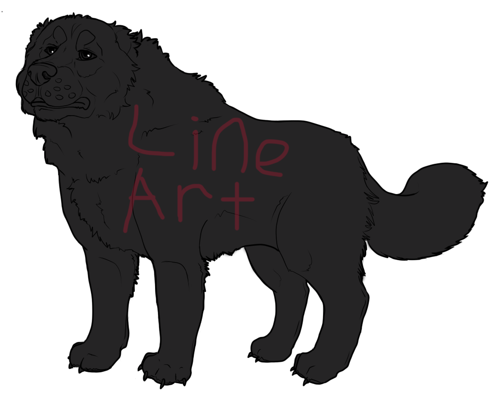 Fluffy dog lineart