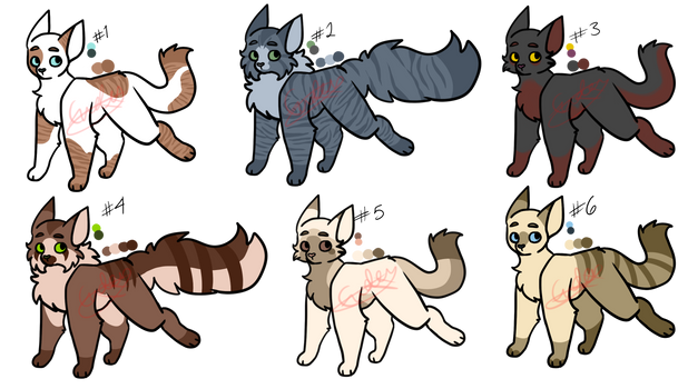 Cat Adopts (Points) {OPEN}